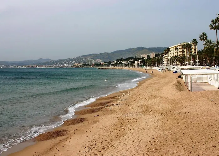 Hotel Des Congrès Et Festivals