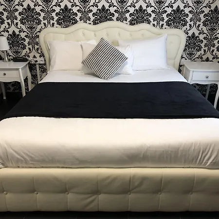 Des Congres Et Festivals מלון 3*